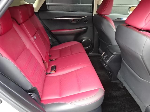 Lexus NX 2018-05 4674-11
