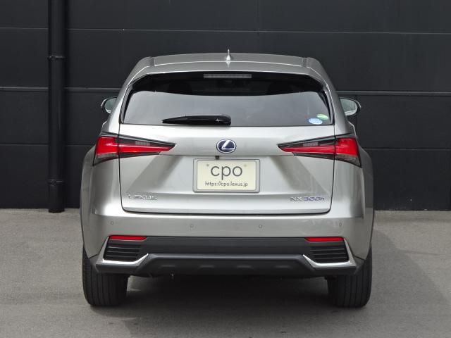 Lexus NX 2018-05 4674-4