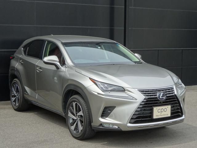 Lexus NX 2018-05 4674-2