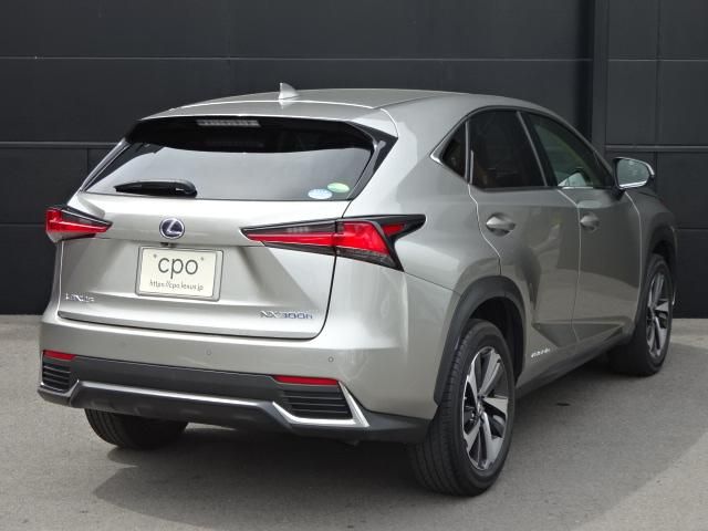 Lexus NX 2018-05 4674-3
