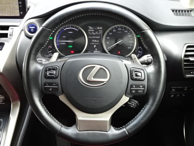 Lexus NX 2018-05 4674-15
