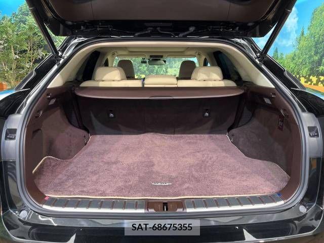 Lexus RX 2018-10 275887-10