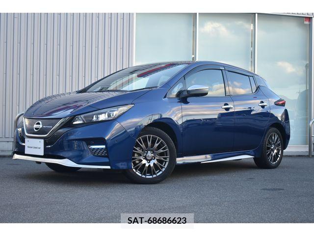Nissan LEAF 2019-09 204625-0