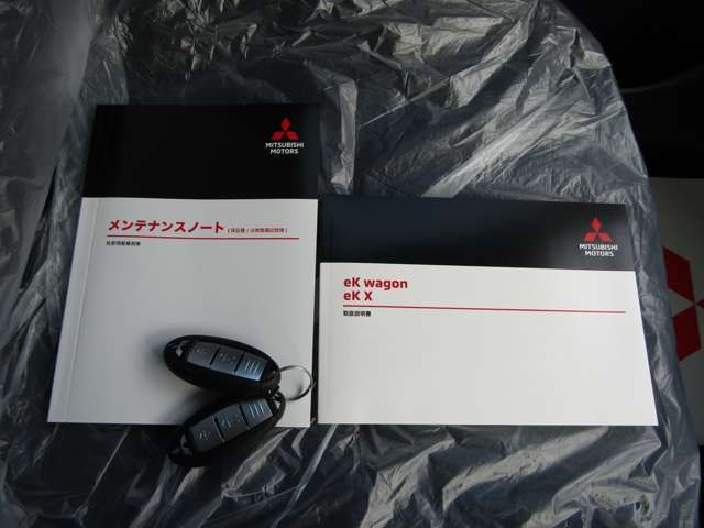 Mitsubishi EK X 2022-11 10095-19