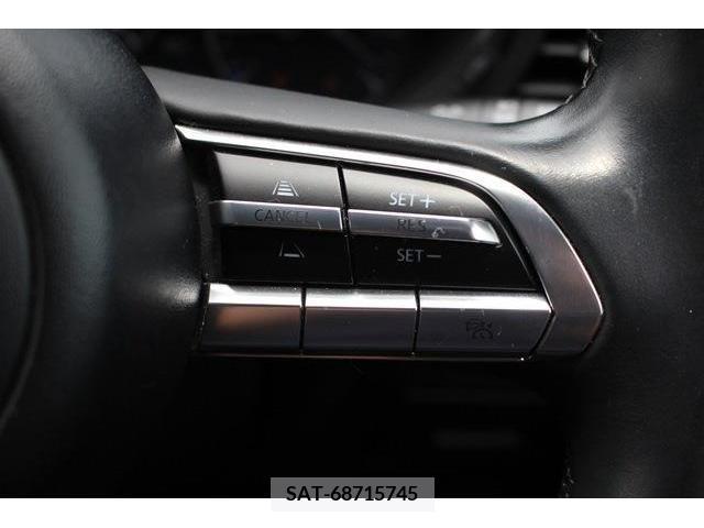 Mazda MAZDA3 2019-05 301040-6