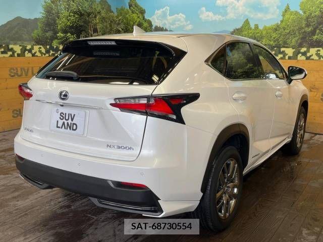 Lexus NX 2015-03 300538-17
