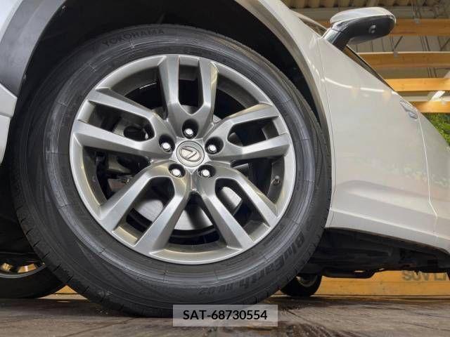 Lexus NX 2015-03 300538-13