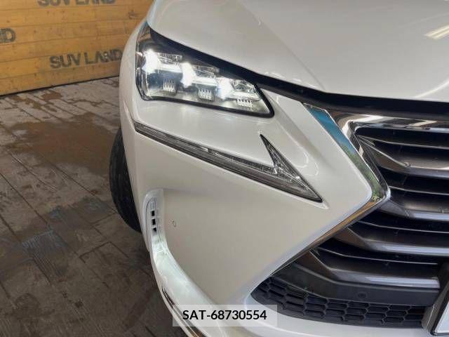 Lexus NX 2015-03 300538-12