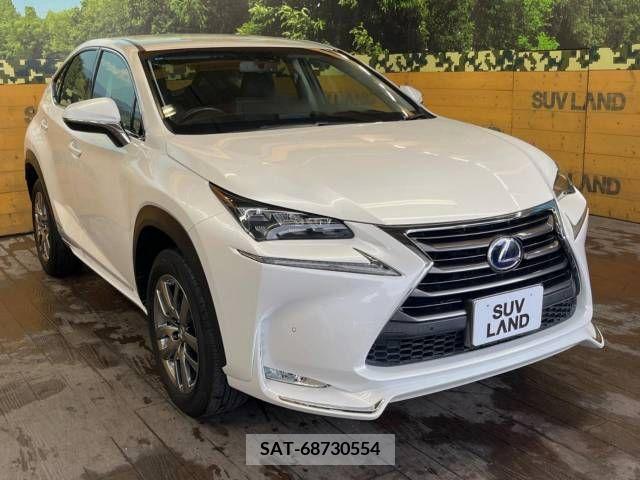 Lexus NX 2015-03 300538-16
