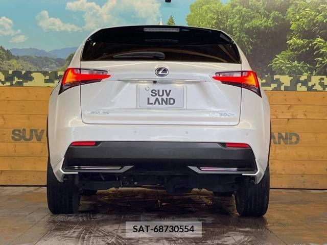 Lexus NX 2015-03 300538-15