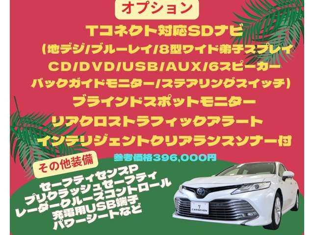 Toyota CAMRY HYBRID 2018-03 187935-13