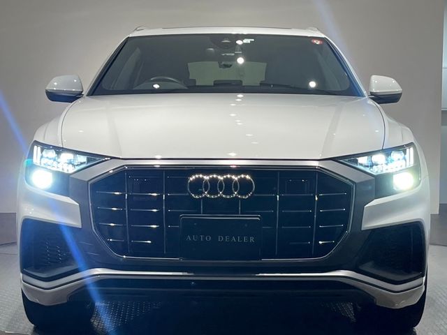 Audi Q8 2020-03 195813-17