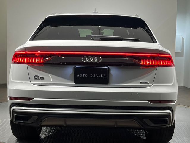 Audi Q8 2020-03 195813-19