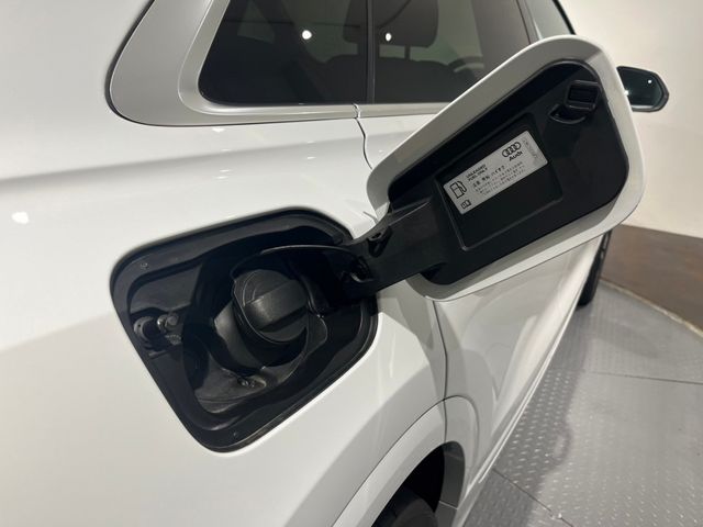 Audi Q8 2020-03 195813-24