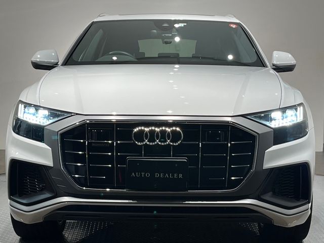 Audi Q8 2020-03 195813-16