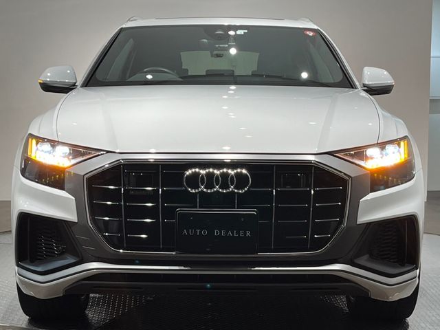 Audi Q8 2020-03 195813-18