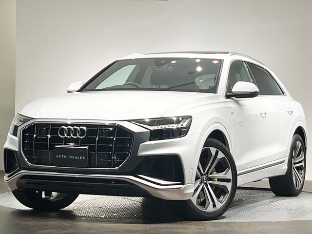 Audi Q8 2020-03 195813-0