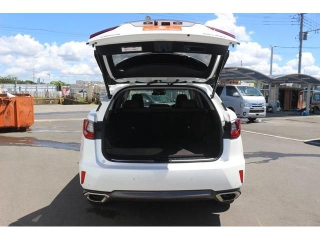 Lexus RX 2017-11 4941-9