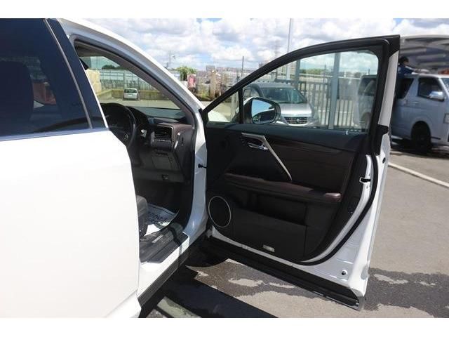 Lexus RX 2017-11 4941-8