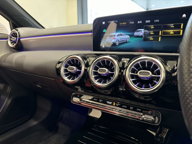 Mercedes Benz A-CLASS 2020-05 195349-13