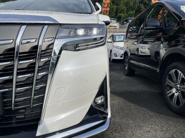 Toyota ALPHARD HYBRID 2019-07 191483-27