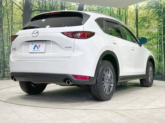 Mazda CX-5 2019-01 196794-17
