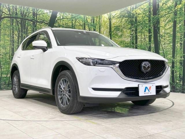 Mazda CX-5 2019-01 196794-16