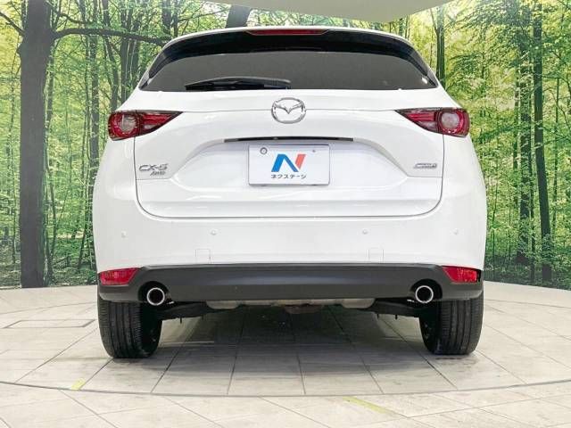 Mazda CX-5 2019-01 196794-15