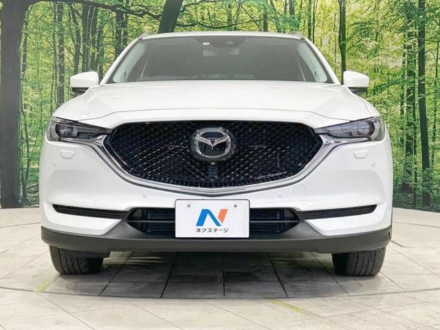 Mazda CX-5 2019-01 196794-14