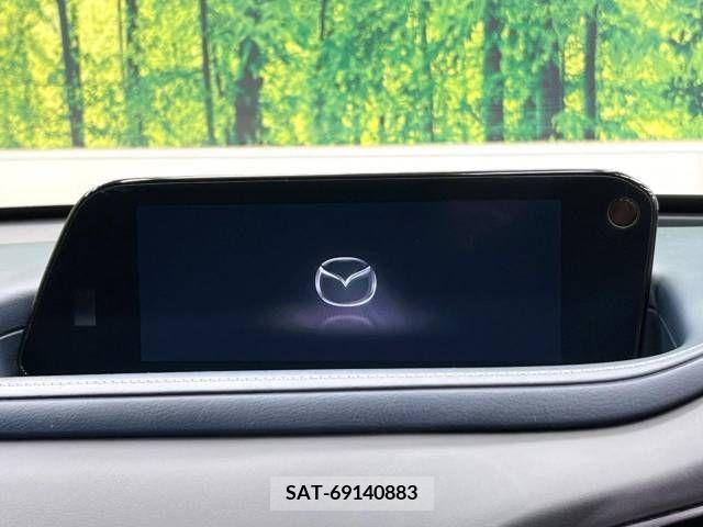 Mazda CX-30 2019-10 246602-4