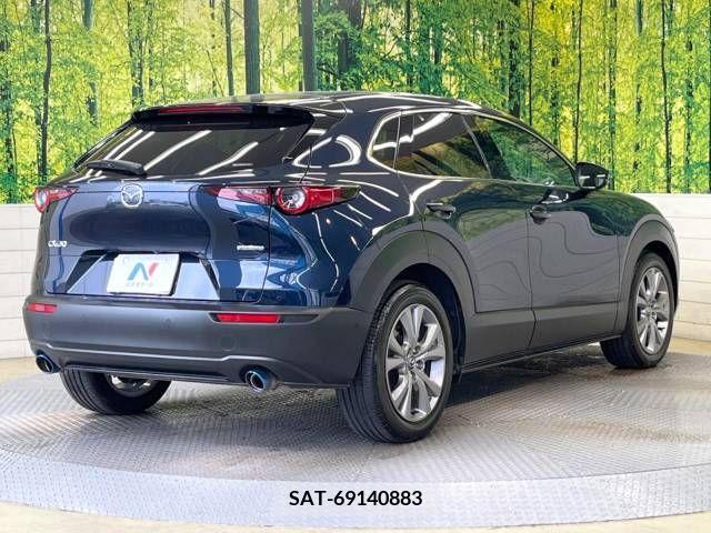 Mazda CX-30 2019-10 246602-18