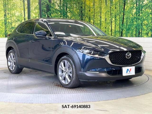 Mazda CX-30 2019-10 246602-17