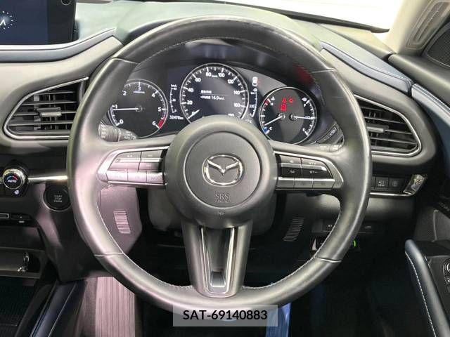 Mazda CX-30 2019-10 246602-12