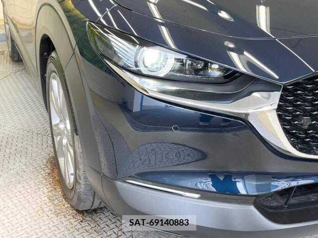 Mazda CX-30 2019-10 246602-13