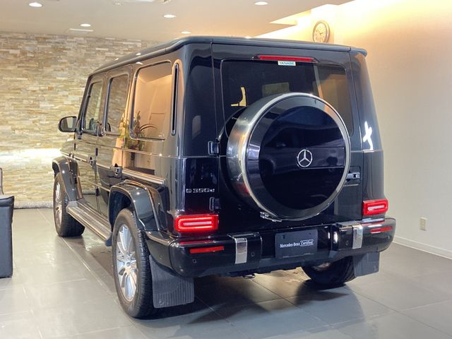 Mercedes Benz G-CLASS 2021-01 432-1