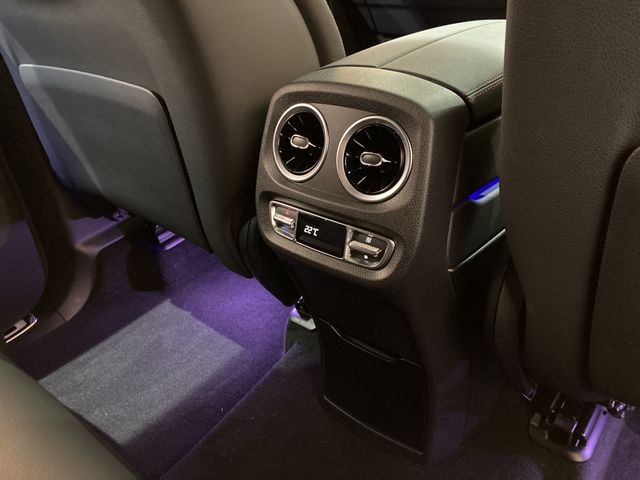 Mercedes Benz G-CLASS 2021-01 432-9