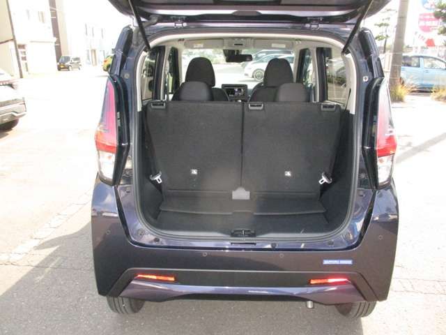 Nissan DAYZ 2019-10 22423-6