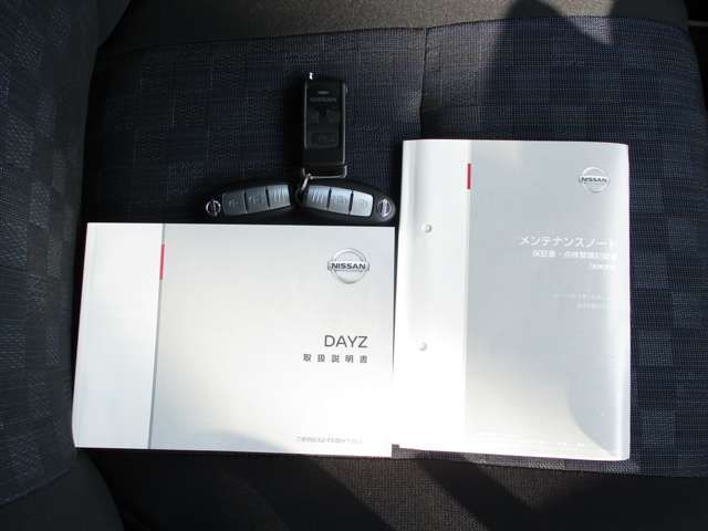 Nissan DAYZ 2019-10 22423-19