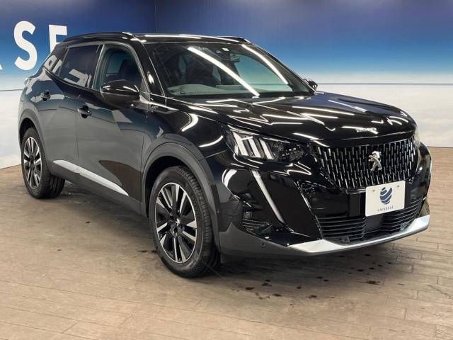 Peugeot 2008 2021-06 27428-17