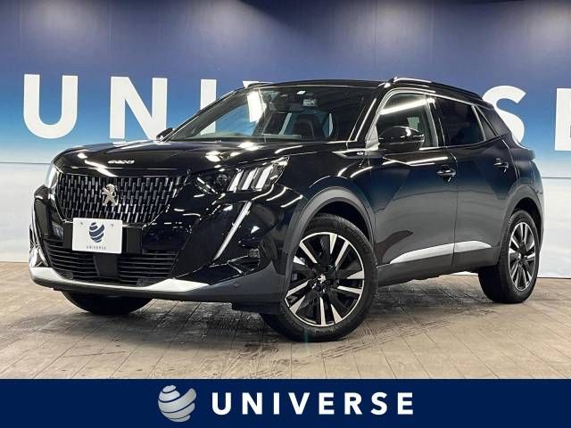 Peugeot 2008 2021-06 27428-0