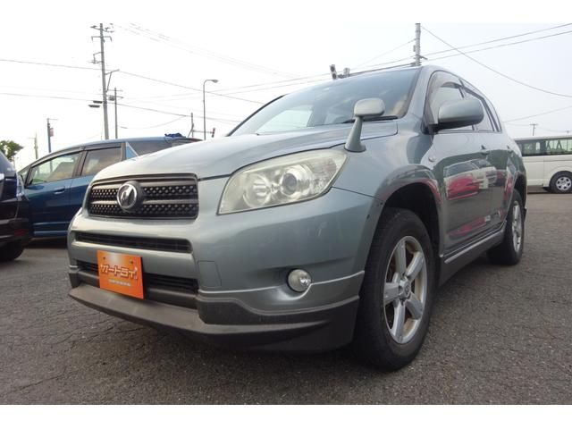 Toyota RAV4 2006-09 17046-10