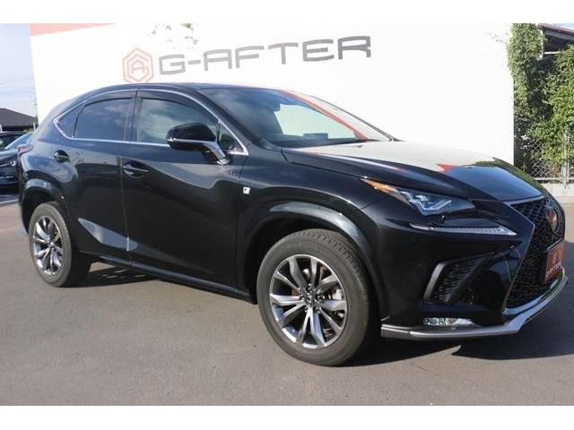 Lexus NX 2017-10 22836-2