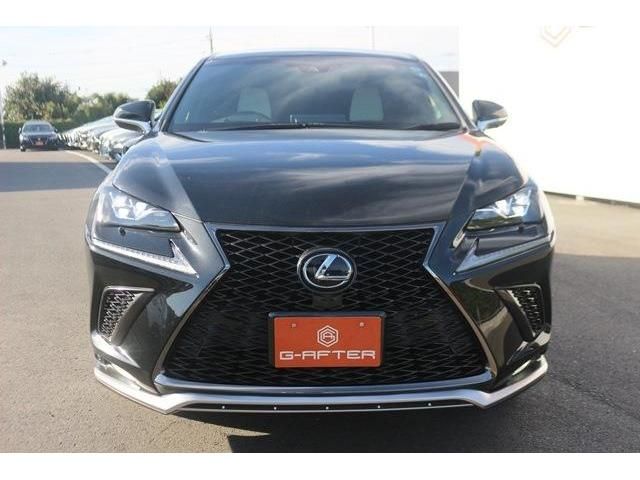 Lexus NX 2017-10 22836-1