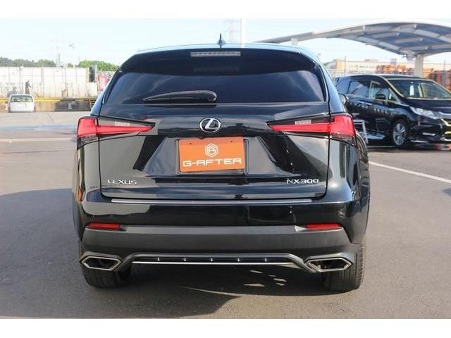 Lexus NX 2017-10 22836-4