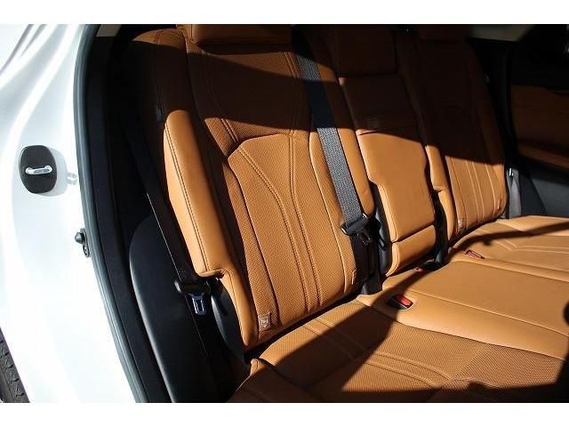 Lexus RX 2020-01 8696-15
