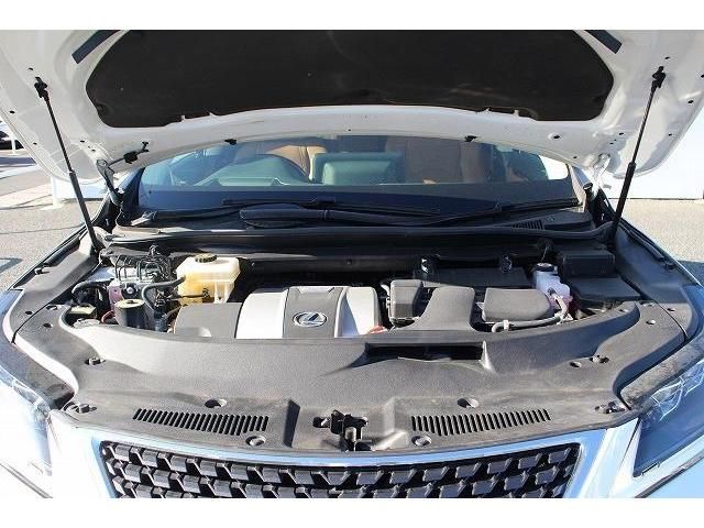 Lexus RX 2020-01 8696-18