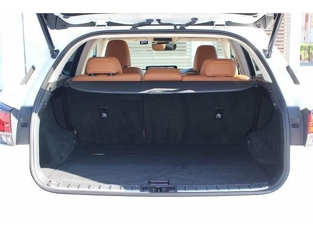 Lexus RX 2020-01 8696-17