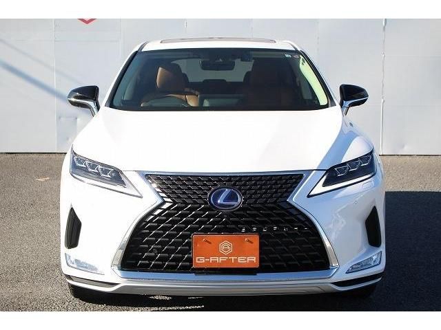 Lexus RX 2020-01 8696-7