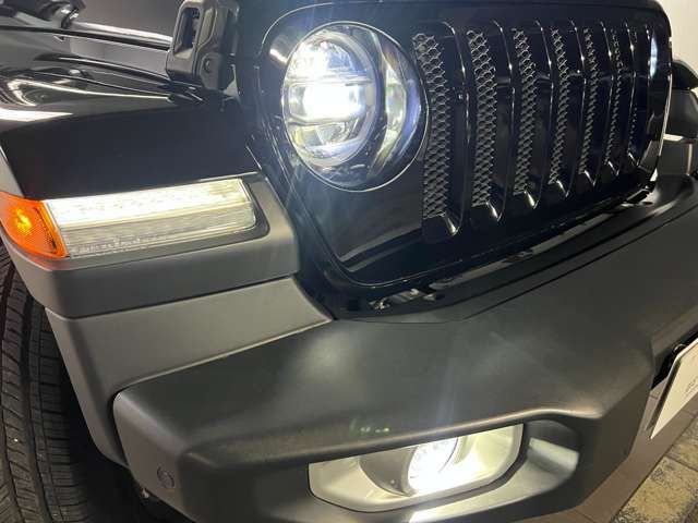 Jeep WRANGLER 2020-06 17988-9