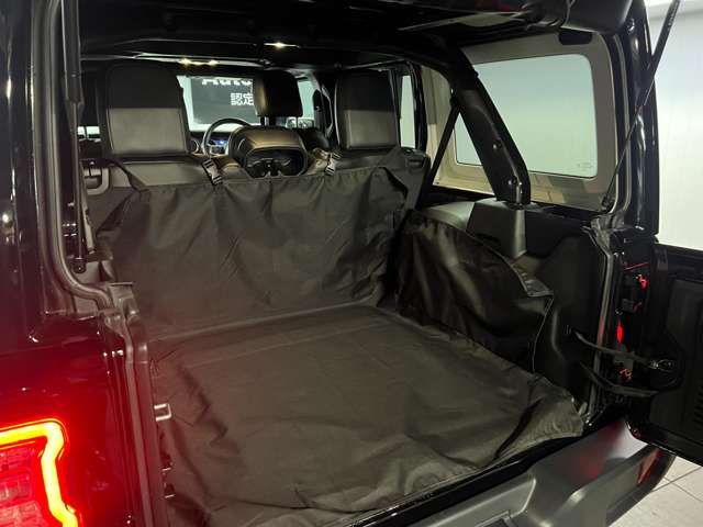 Jeep WRANGLER 2020-06 17988-15